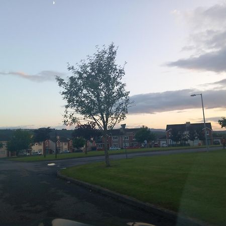 Sycamore Place Carrick-on-Suir Ngoại thất bức ảnh
